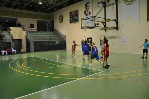 sbbl (121)